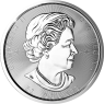 Kanada-50Dollar-2017-Ag-10Unzen-MapleLeaf-VS
