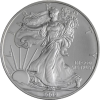 USA-1 Dollar-2009-AGstgl-Silver Eagle-RS