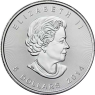 Kanada-5-Dollar-2014-Maple-Leaf-I