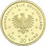 Goldmünze Deutschland 20 Euro 2021 Schwarzspecht Mzz. A